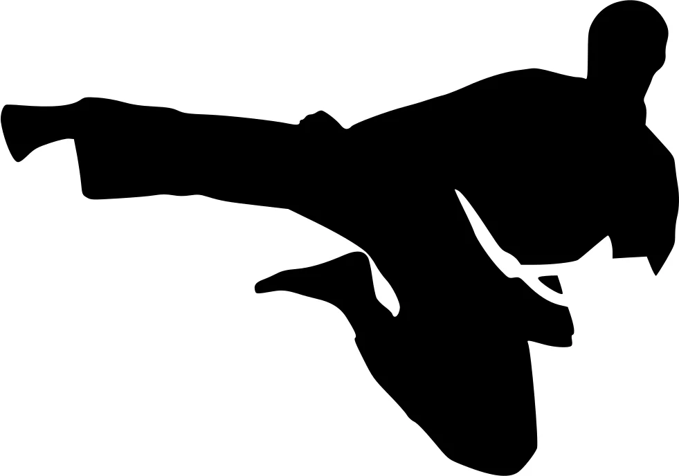 Community Martial Arts academy photo