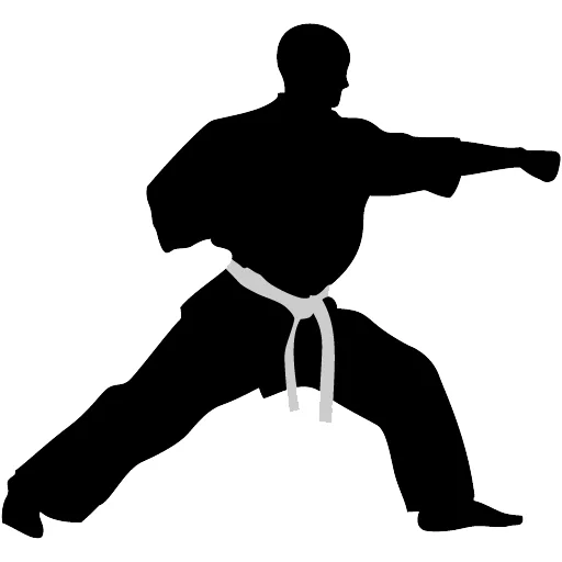 Community Martial Arts academy photo