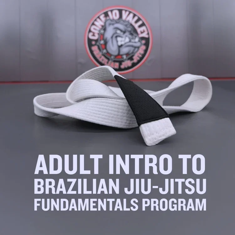 Conejo Valley Brazilian Jiu Jitsu academy photo