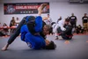 Conejo Valley Brazilian Jiu Jitsu academy photo