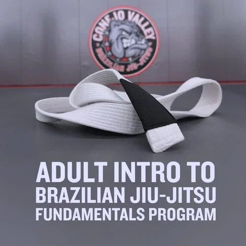 Conejo Valley Brazilian Jiu Jitsu academy photo