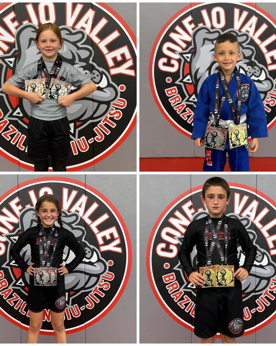 Conejo Valley Brazilian Jiu Jitsu academy photo