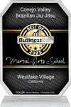 Conejo Valley Brazilian Jiu Jitsu academy photo