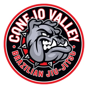 Conejo Valley Brazilian Jiu Jitsu academy photo
