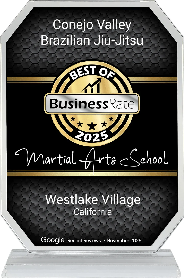Conejo Valley Brazilian Jiu Jitsu academy photo