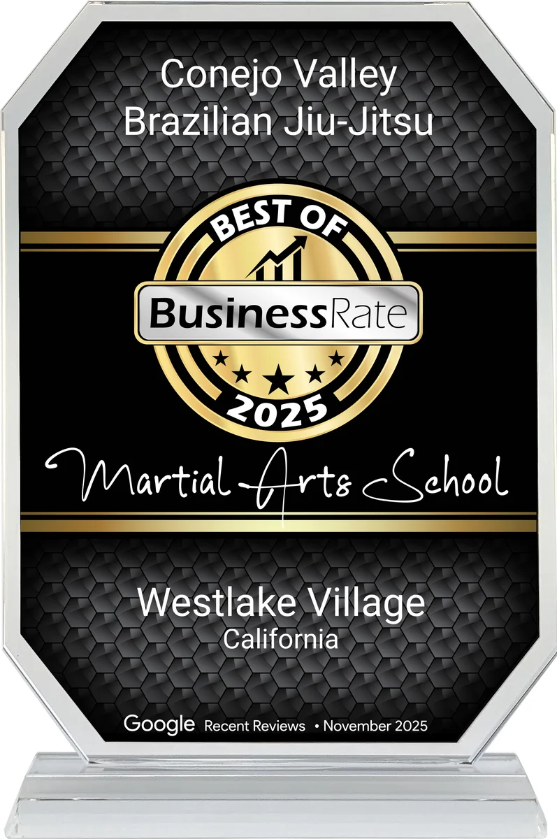 Conejo Valley Brazilian Jiu Jitsu academy photo