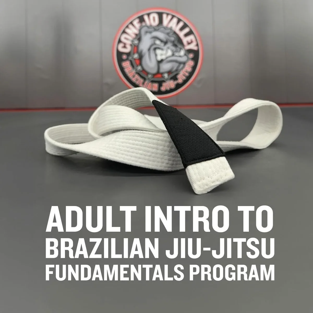 Conejo Valley Brazilian Jiu Jitsu academy photo