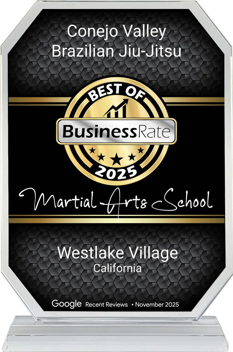 Conejo Valley Brazilian Jiu Jitsu academy photo