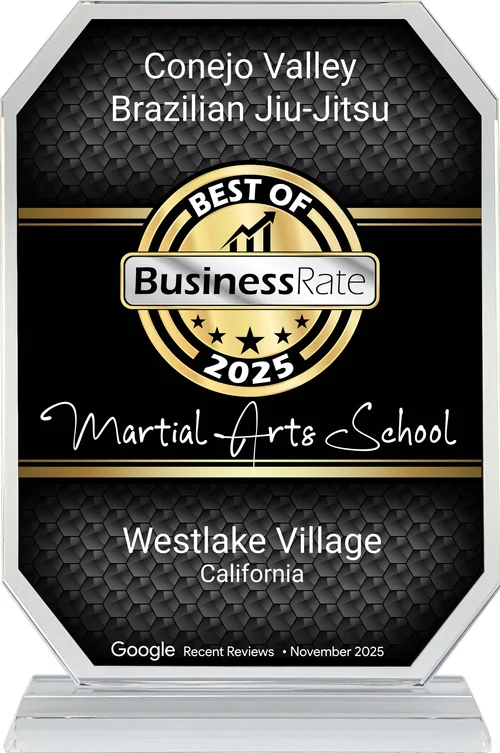 Conejo Valley Brazilian Jiu Jitsu academy photo