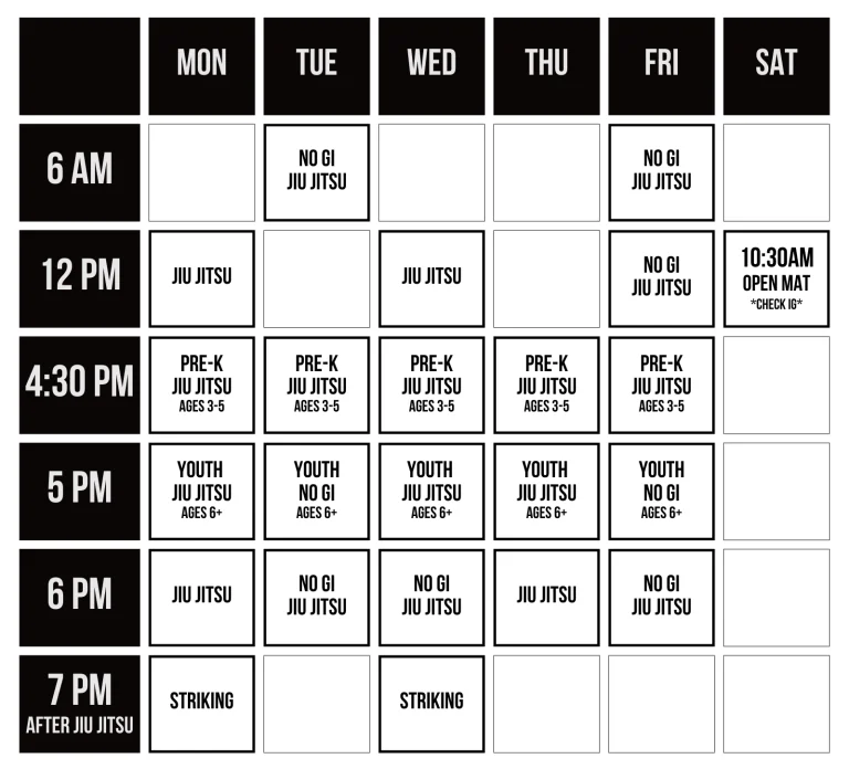 Costa Mesa Jiu Jitsu (Triangle Square) academy photo