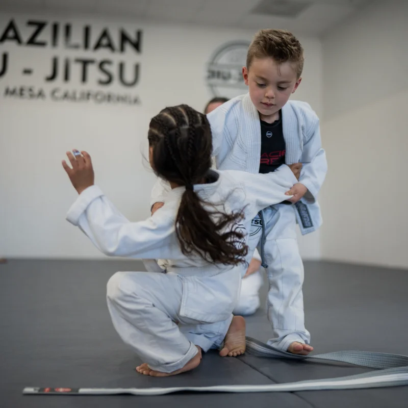 Costa Mesa Jiu Jitsu (Triangle Square) academy photo
