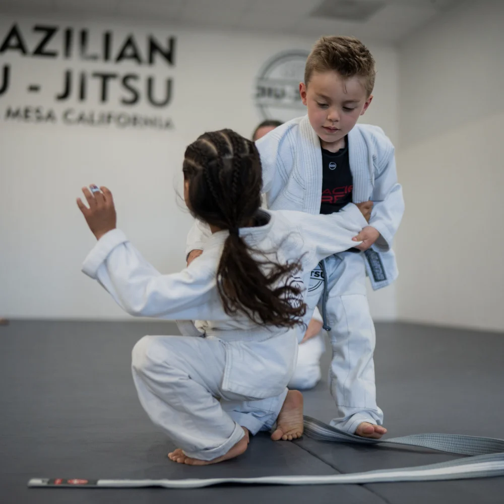 Costa Mesa Jiu Jitsu (Triangle Square) academy photo
