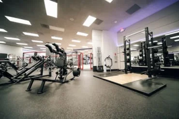 CSA Gym visual