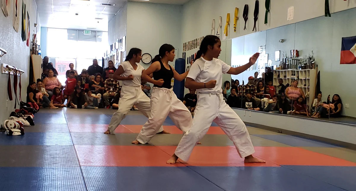 Curtis Sells Martial Arts academy photo
