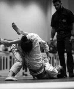 Daoun Jiu Jitsu visual