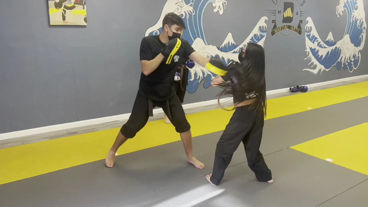 Dasalla's Martial Arts academy photo
