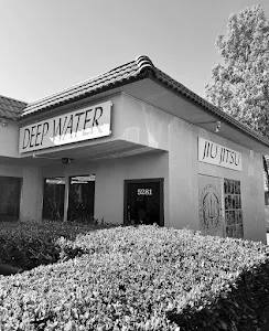 Deep Water Jiu Jitsu academy photo
