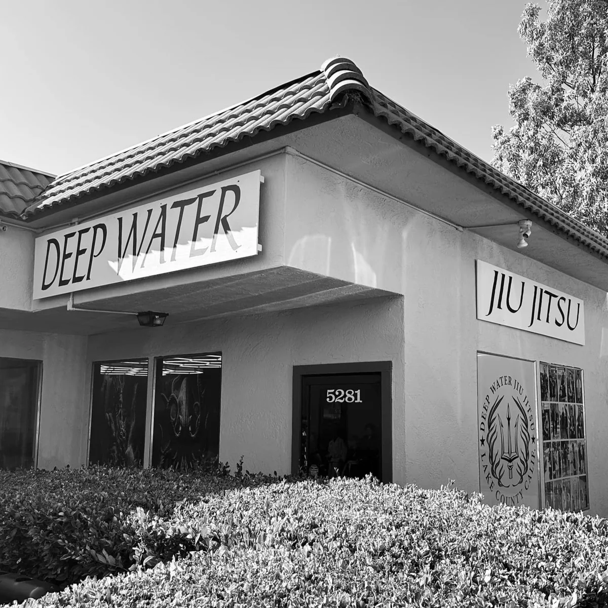 Deep Water Jiu Jitsu academy photo