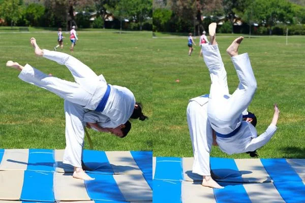 Distinguished Teaching - Martial Arts Training (Concord, CA) academy logo