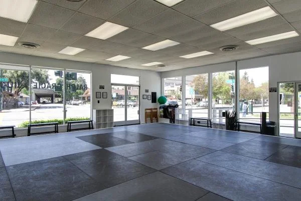 Distinguished Teaching - Martial Arts Training (Concord, CA) academy photo