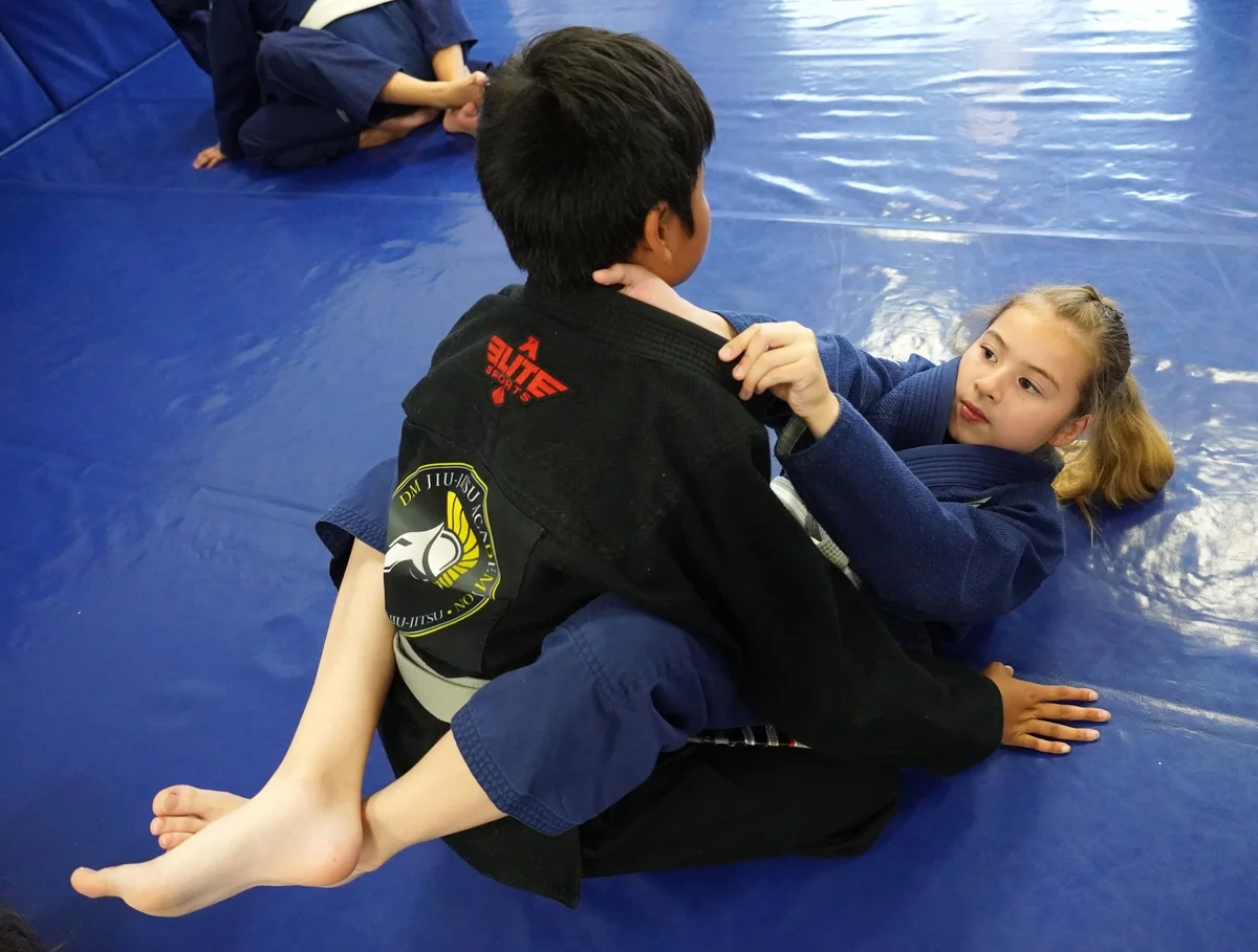DM Brazilian Jiu Jitsu Academy academy photo