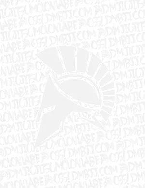DM Brazilian Jiu Jitsu Academy academy photo