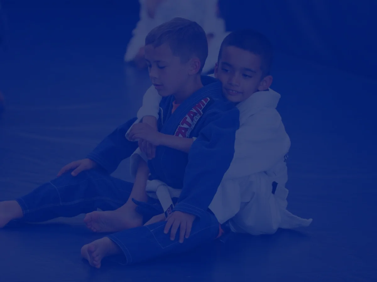 DM Brazilian Jiu Jitsu Academy academy photo