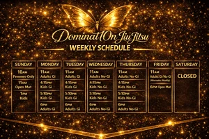 Dominat10n Jiu Jitsu academy photo