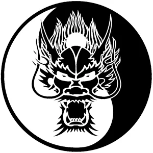 Dragon House MMA facility image