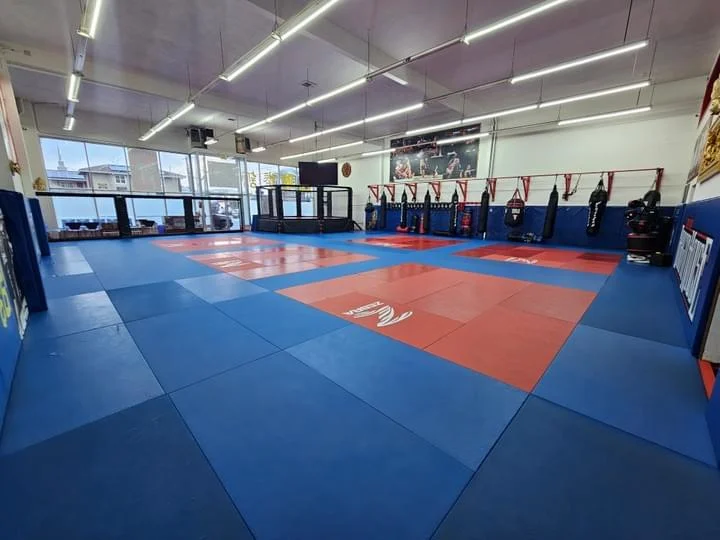 Dragon House MMA facility image