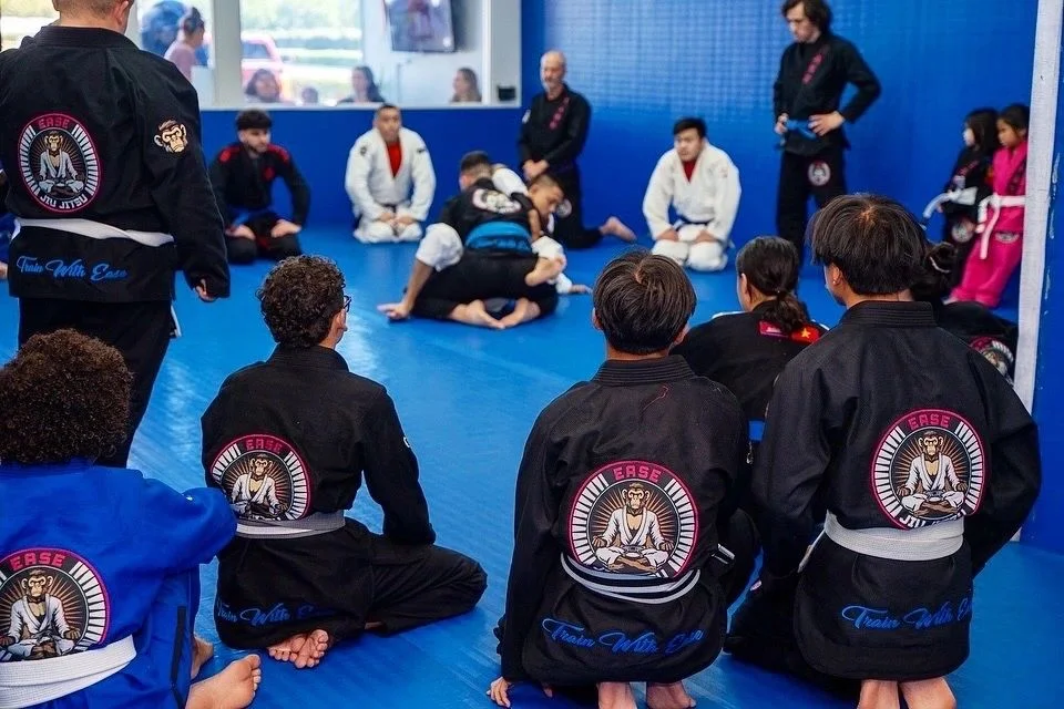 Ease Jiu Jitsu visual