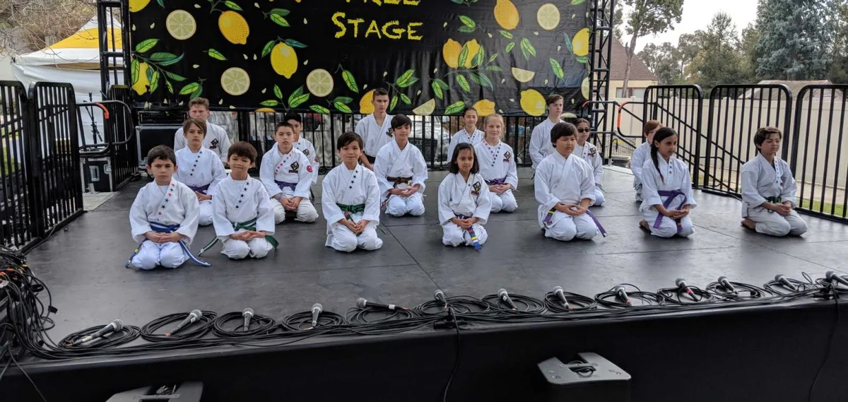 Elements of Change Academy of Martial Arts academy photo