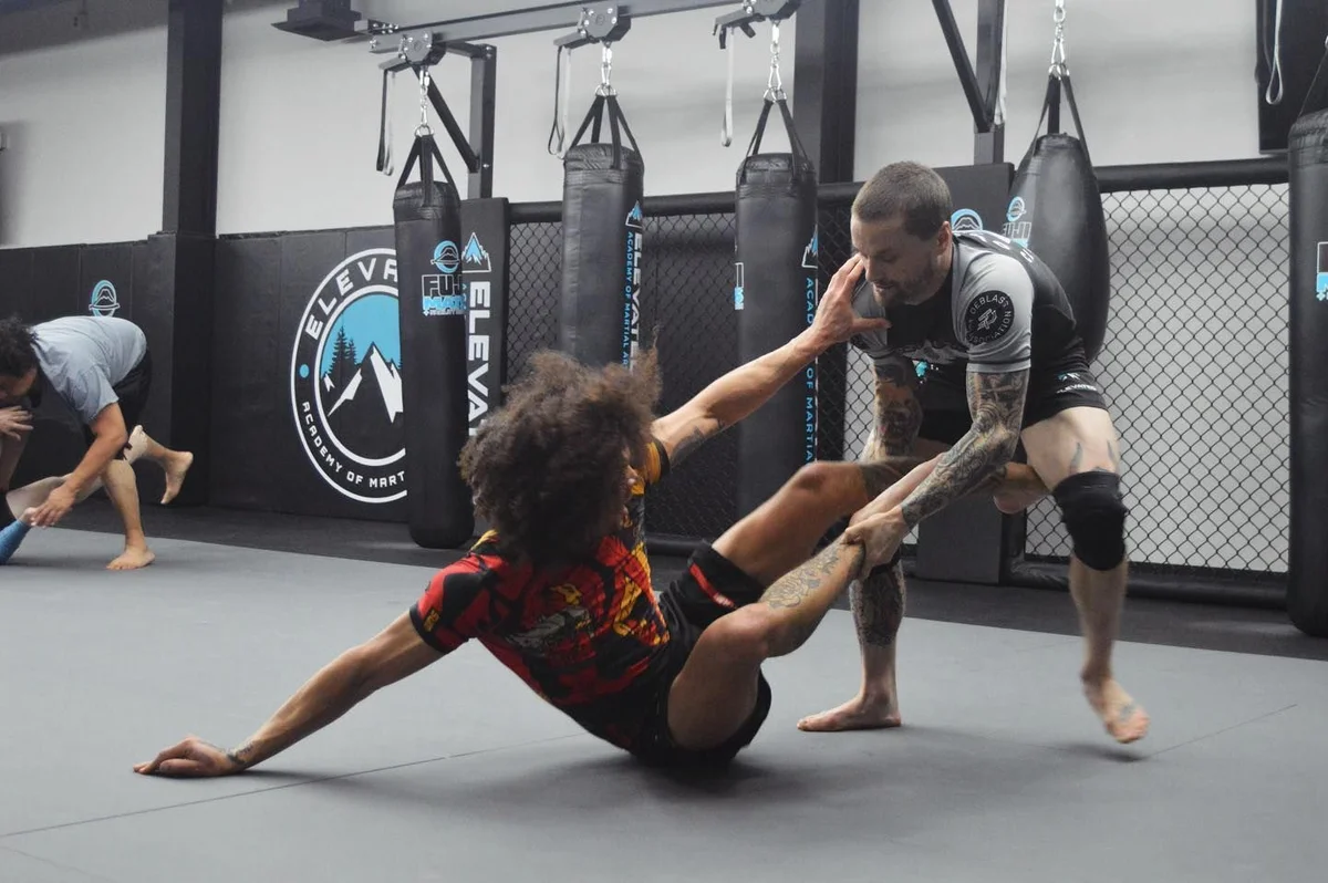 Elevated Academy of Martial Arts academy photo