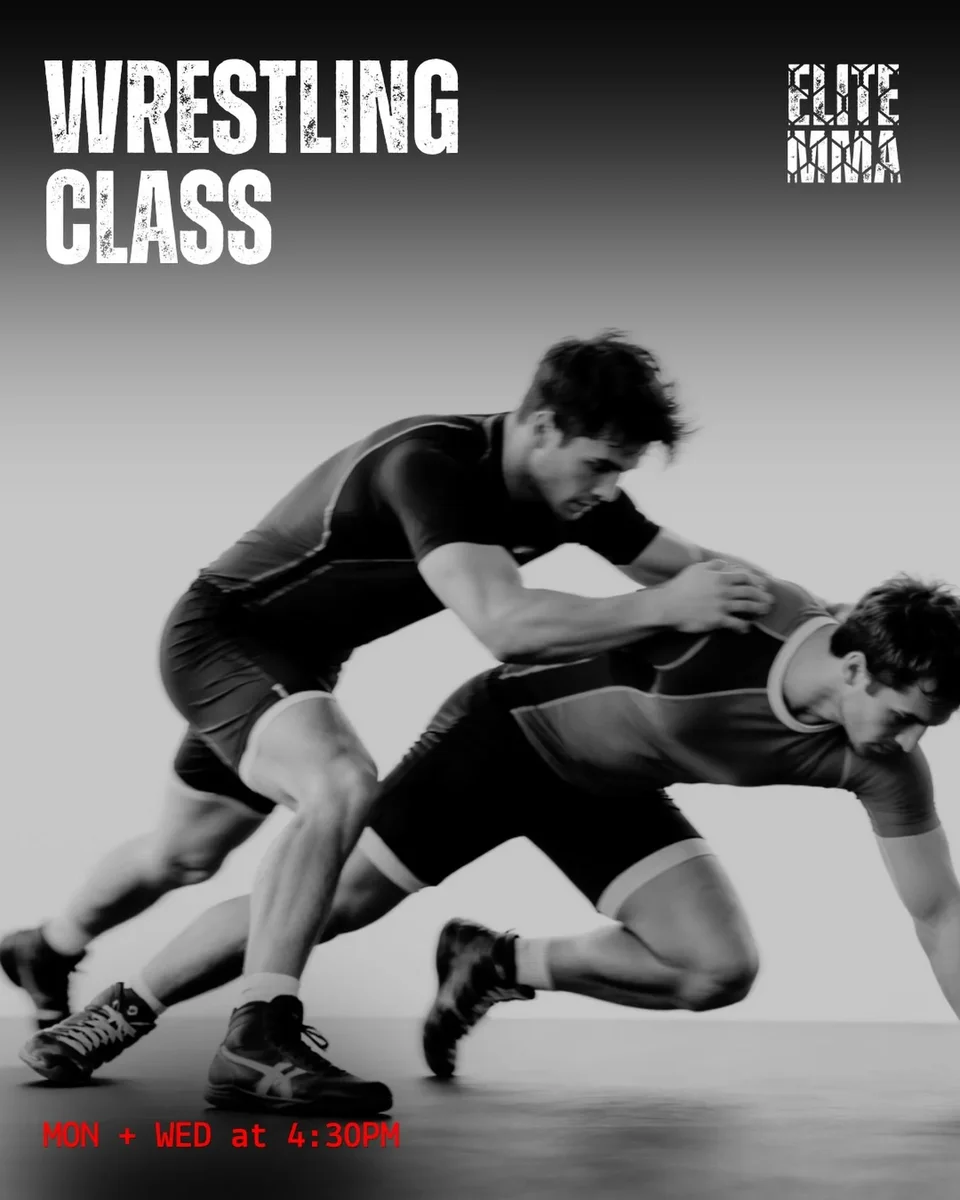 Elite MMA Gym academy photo