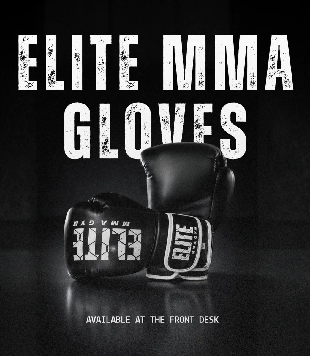 Elite MMA Gym academy photo