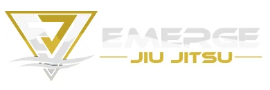 Emerge academy logo
