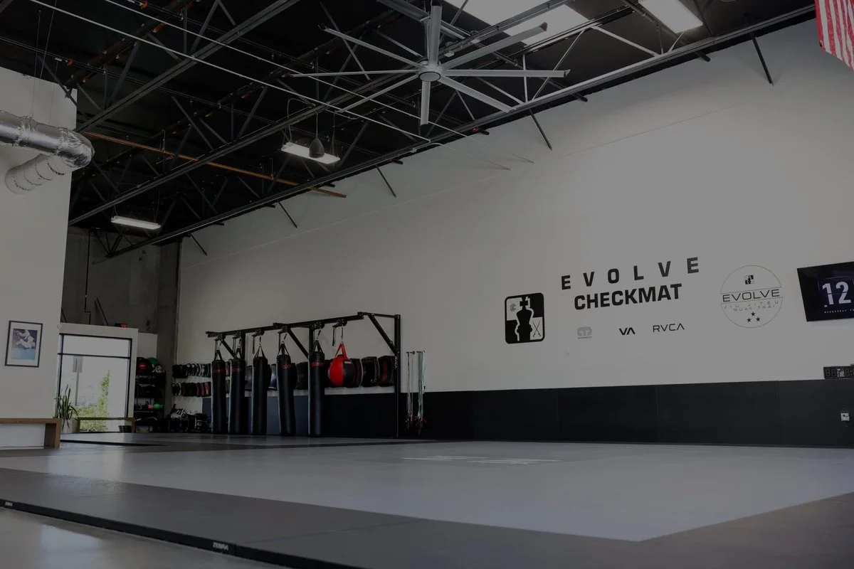 Evolve Checkmat Jiu Jitsu/Muay Thai Academy academy photo