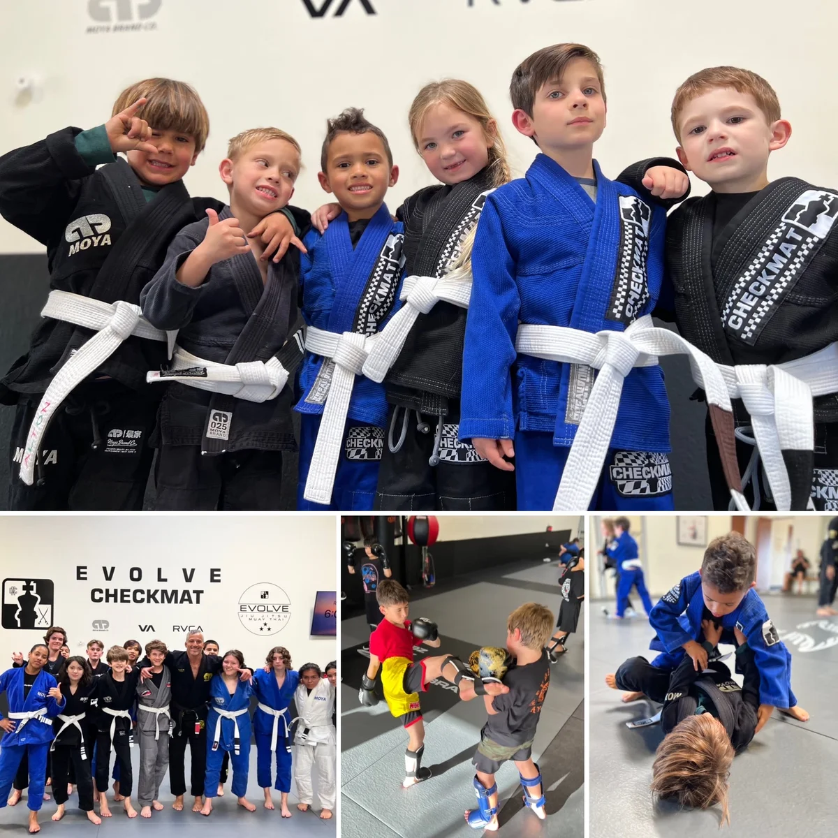 Evolve Checkmat Jiu Jitsu/Muay Thai Academy academy photo