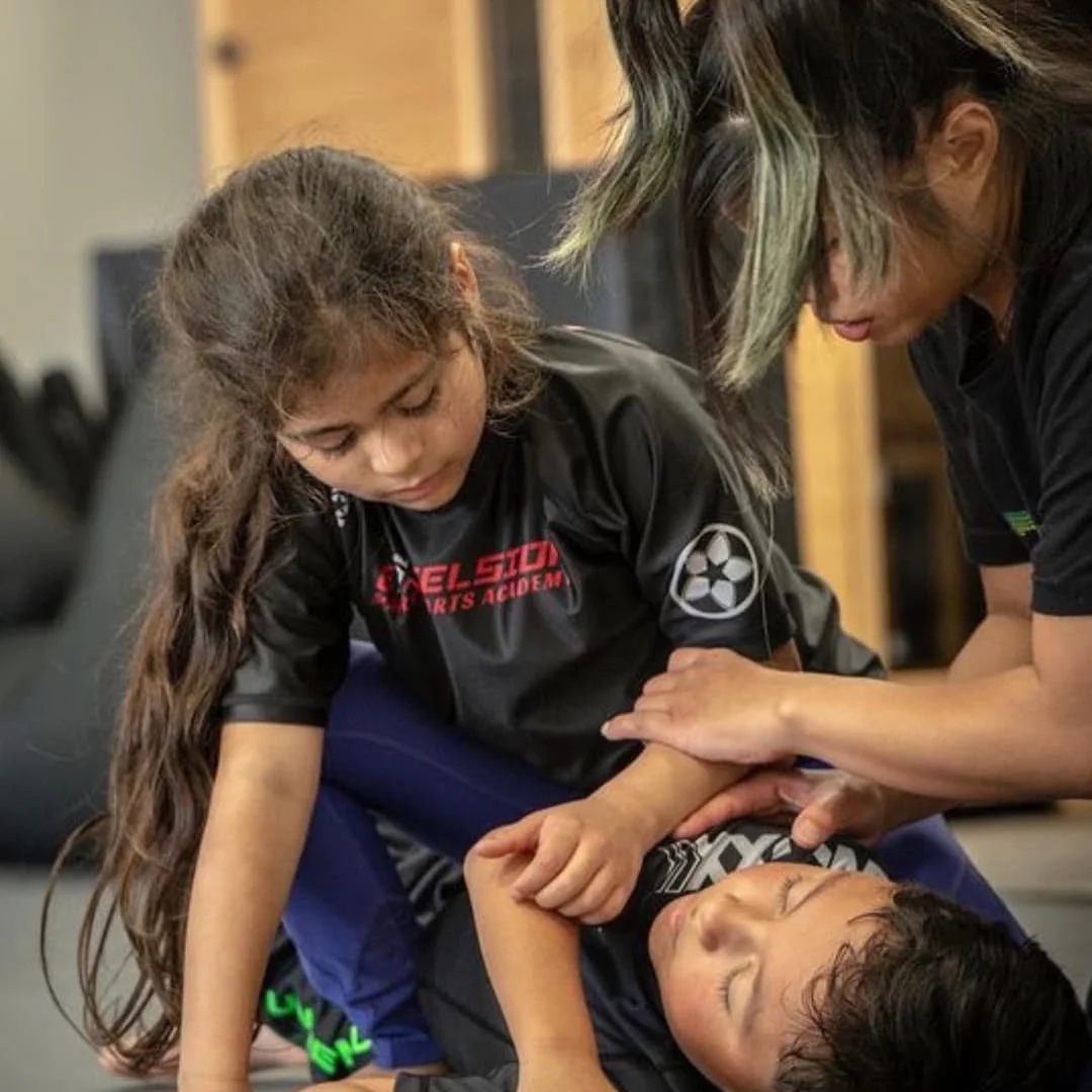 Excelsior Martial Arts Academy academy photo
