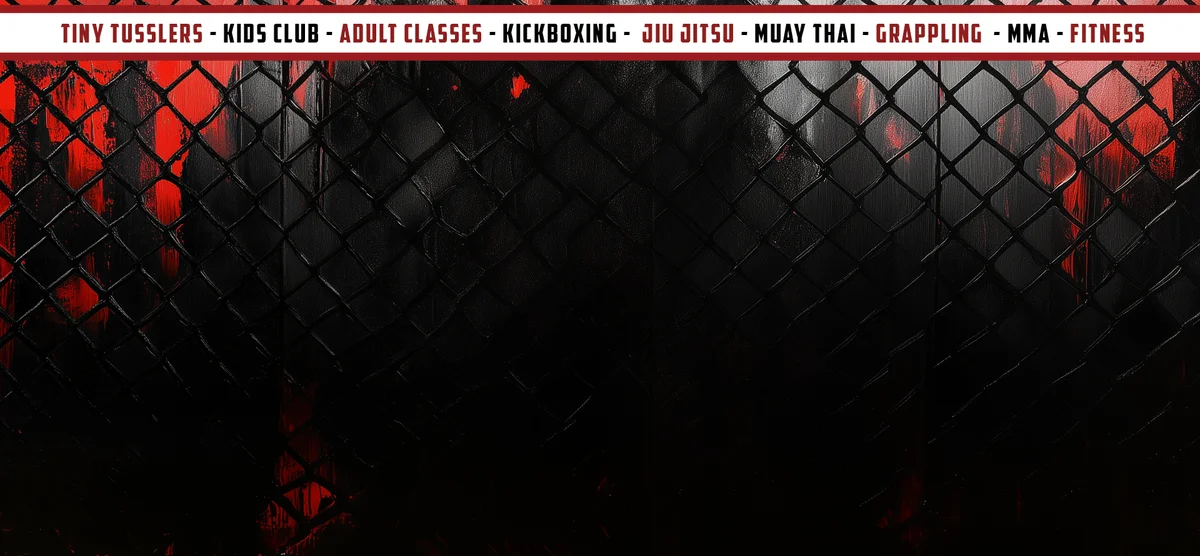 Fight Lab Mixed Martial Arts academy photo