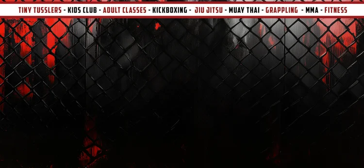 Fight Lab Mixed Martial Arts academy photo