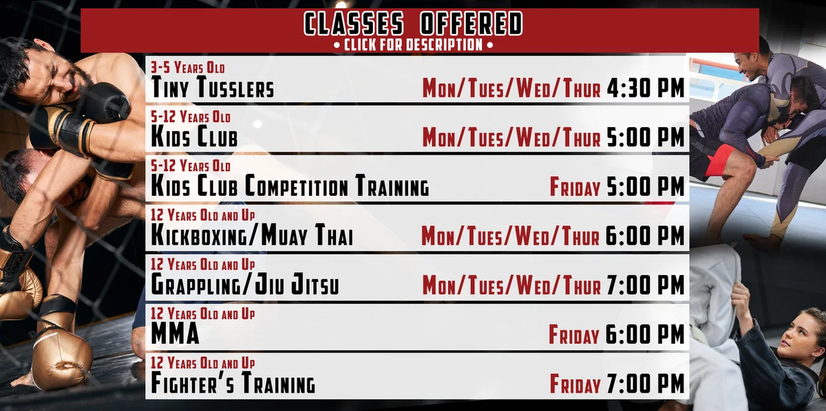 Fight Lab Mixed Martial Arts academy photo