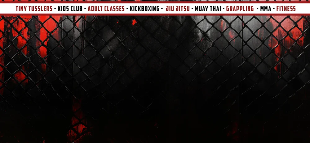Fight Lab Mixed Martial Arts academy photo