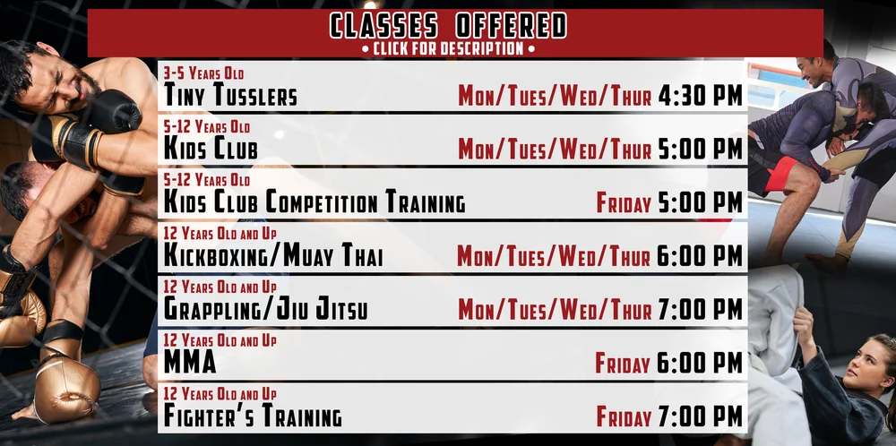 Fight Lab Mixed Martial Arts academy photo