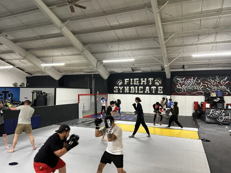 Fight Syndicate academy photo