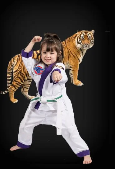 Fremont Martial Arts facility image