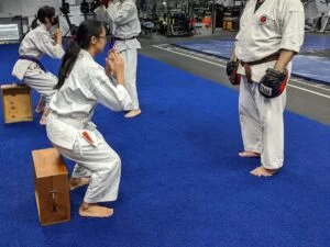 Full Potential Martial Arts Academy facility image