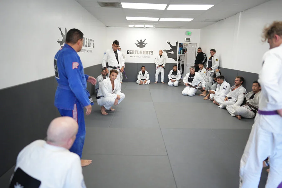 Gentle Arts Jiu Jitsu academy photo