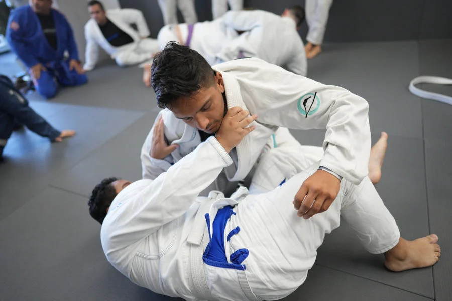 Gentle Arts Jiu Jitsu academy photo