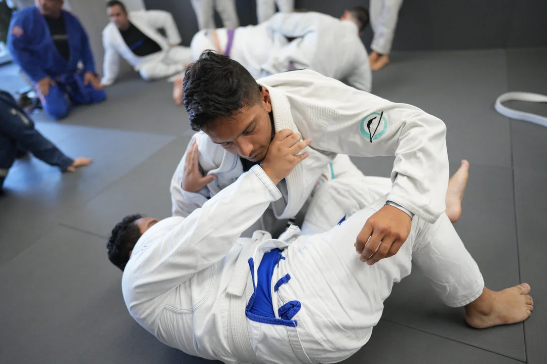 Gentle Arts Jiu Jitsu academy photo